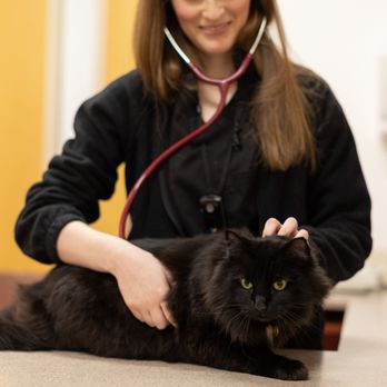 San Francisco SPCA Veterinary Hospital