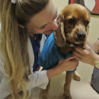 ARK Animal Hospital