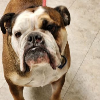 Bel Marin Animal Hospital