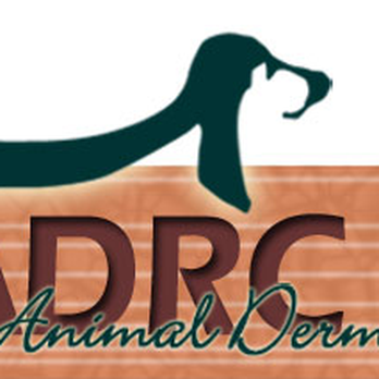 Animal Dermatology Clinic