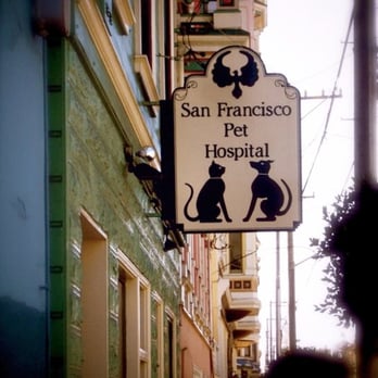 San Francisco Pet Hospital
