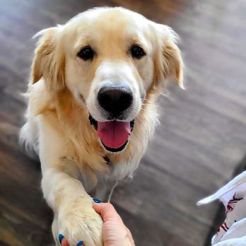 Duarte Azusa Animal Hospital