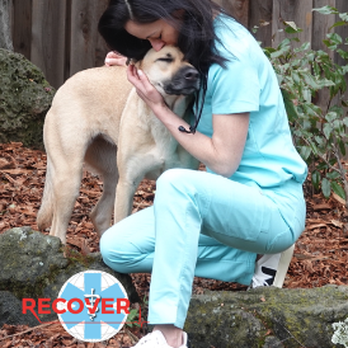 Maverick Veterinary Surgery Service