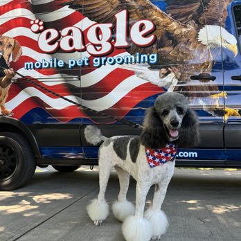Eagle Mobile Pet Grooming