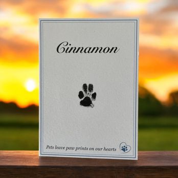 SAGE Veterinary Centers - San Francisco