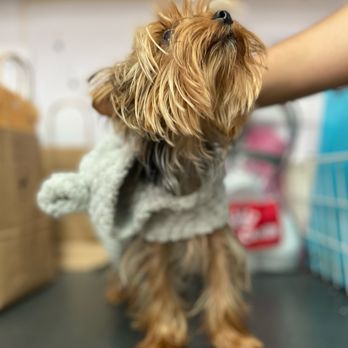 Sunset Veterinary Hospital