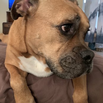 recent post