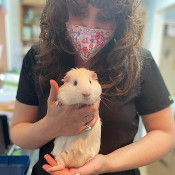 Sunset Veterinary Hospital