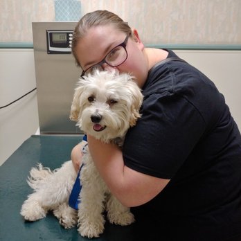 Walnut Valley Animal Hospital
