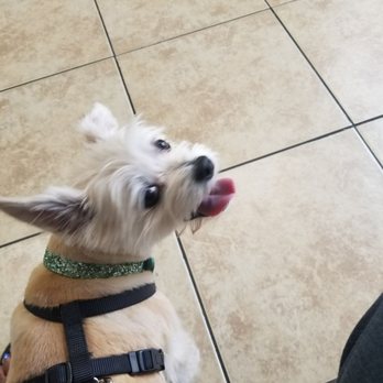 Sunshine Veterinary Care