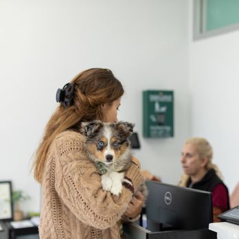 SF SPCA Community Veterinary Clinic
