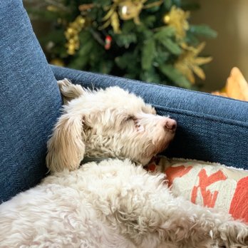 Santa Clarita Animal Hospital