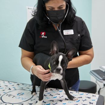 SF SPCA Community Veterinary Clinic