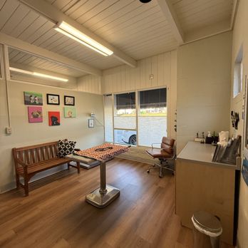 Camino Alto Veterinary Hospital & Wellness Center