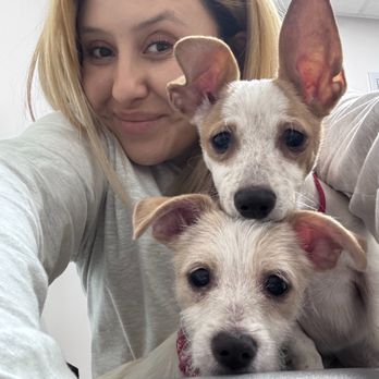 recent post