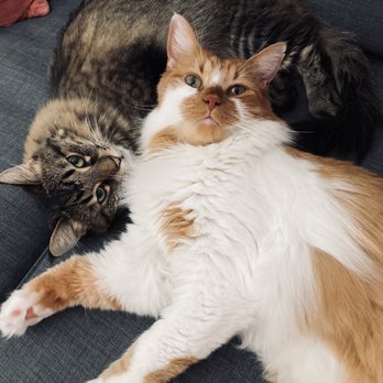 Quito Veterinary Hospital