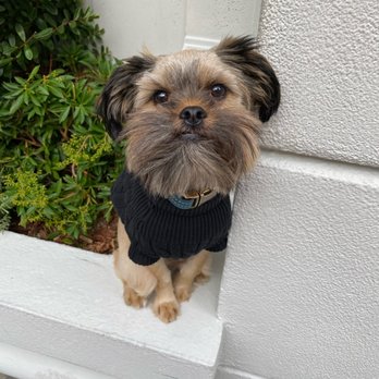Quito Veterinary Hospital