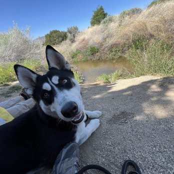 High Desert Animal Care Hospital