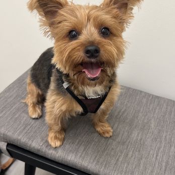 Berkeley Animal Hospital