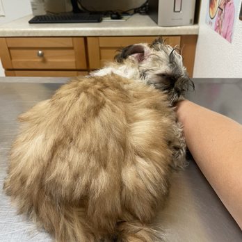 Animal Care Wellness Center
