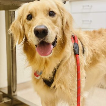 Quito Veterinary Hospital