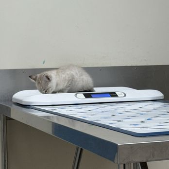 Millbrae Pet Hospital