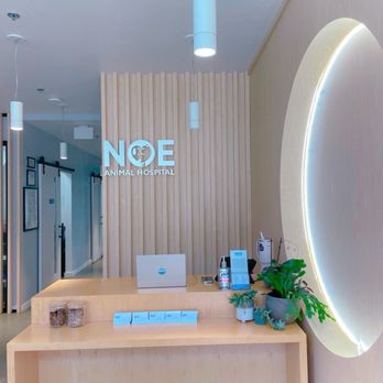 Noe Animal Hospital