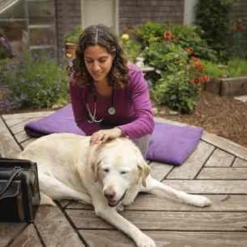 Lotus Veterinary House Calls