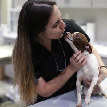 Emergency Pet Hospital of Redlands