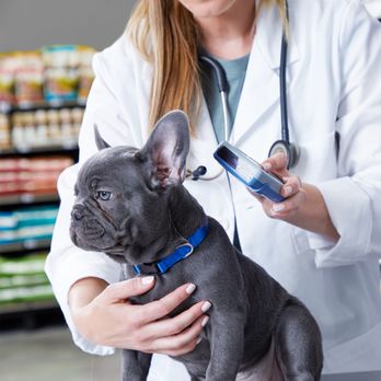 Petland Wichita West