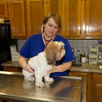 El Paso Animal Hospital