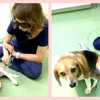 PetSmart Veterinary Services - 2550 Timber Dr