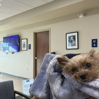MedVet Dallas