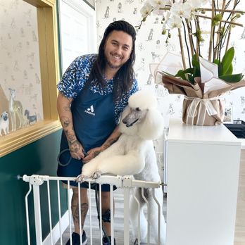 A Cut Above Grooming Salon