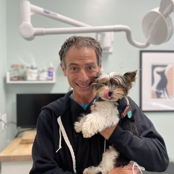 Mission Pet Hospital