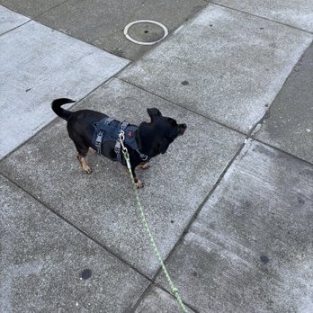 Presidio Way Veterinary Hospital