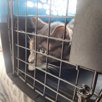 Presidio Way Veterinary Hospital