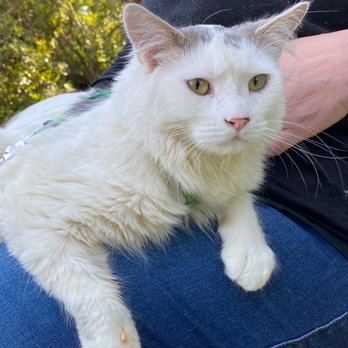 Presidio Way Veterinary Hospital