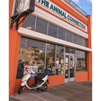 The Animal Connection