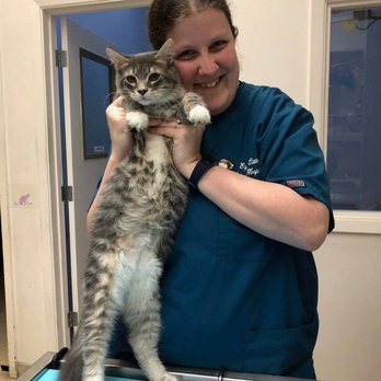 Small Paws Pet Hospital