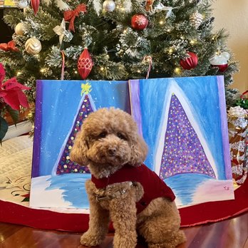 Healthy Pets Veterinary Hospital