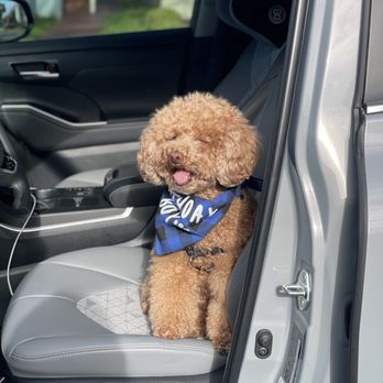 Healthy Pets Veterinary Hospital