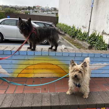 Healthy Pets Veterinary Hospital