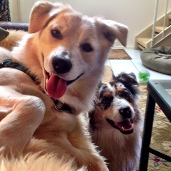 San Geronimo Valley Veterinary Clinic