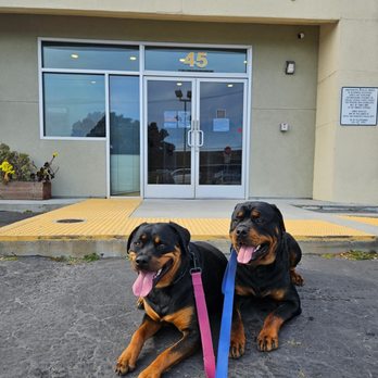 Westborough Pet Hospital