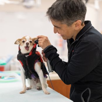 SF SPCA Spay & Neuter Clinic