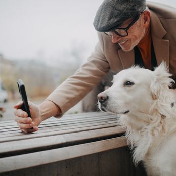 Veterinary Vision Animal Eye Specialists