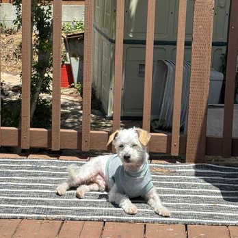 Seven Hills Veterinary Hospital