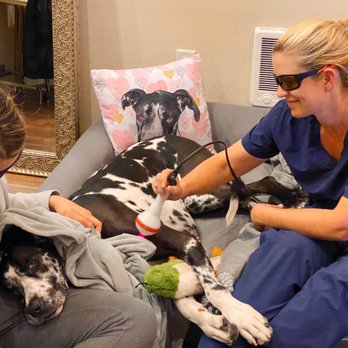 Sarah Daniel - The Kind Vets