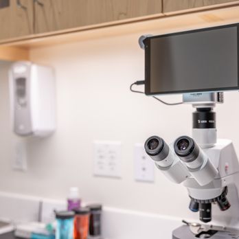 Jack London Pet Hospital